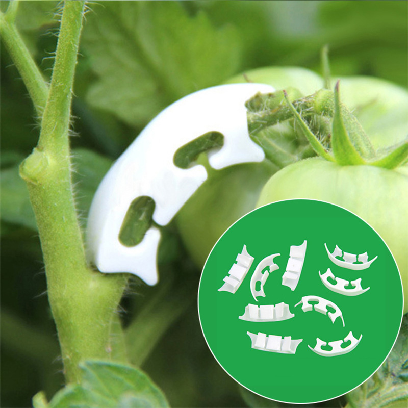 Gardening Tools Holder - 50/100pcs Botany-stem Vine Strapping Clips Garden