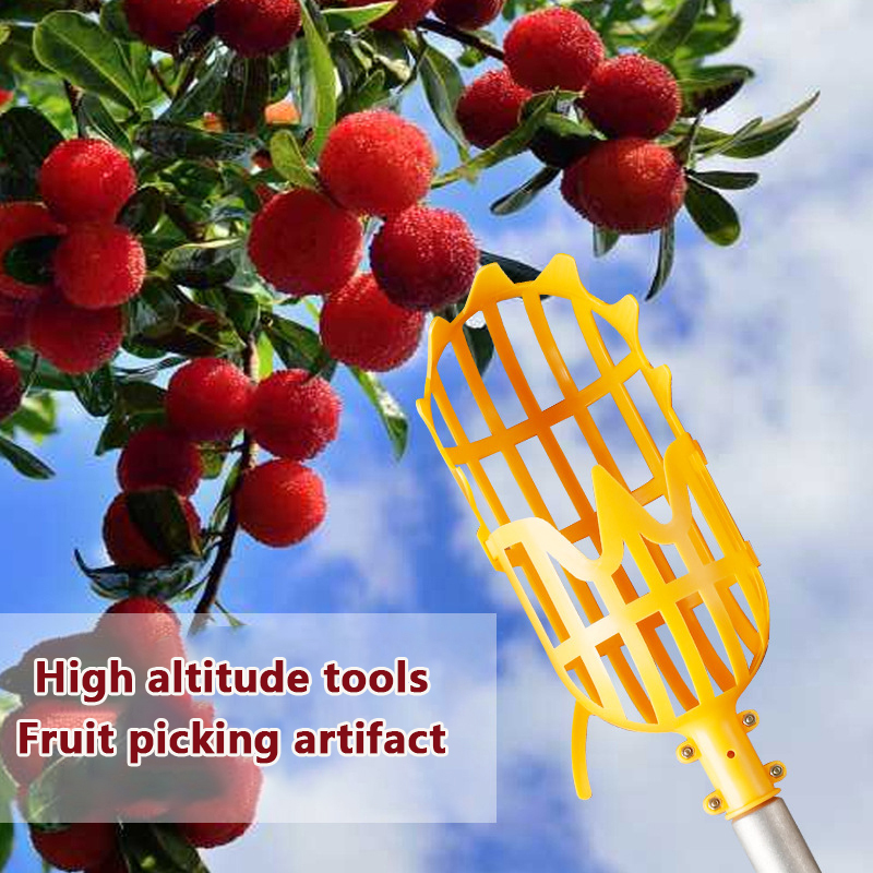 Picking Loquat Picking Bayberr - огляд і ціна Gardening Tools Rack