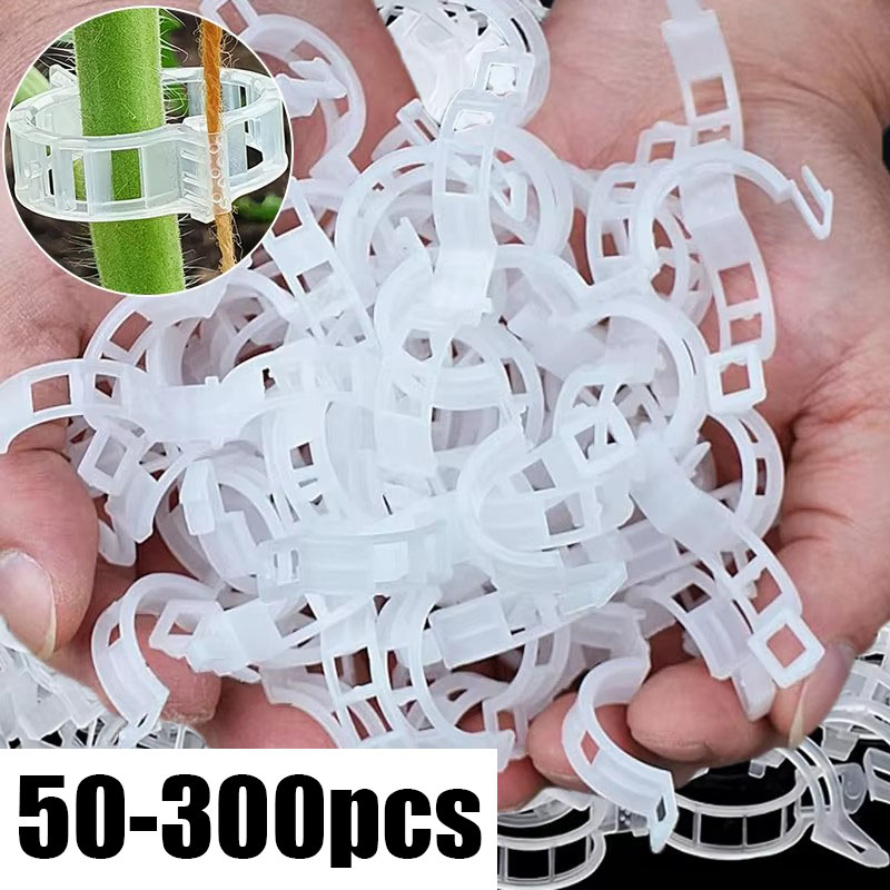 50-300PCS Plant Support Clips  - огляд і ціна Gardening Tools Holder
