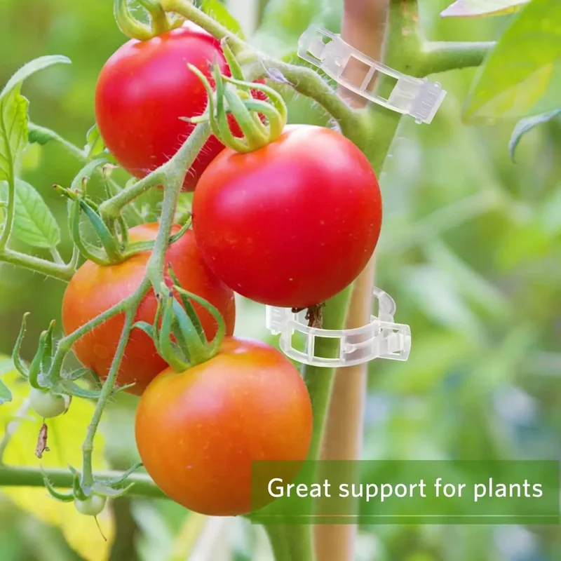 50-300PCS Plant Support Clips  - огляд і ціна Gardening Tools Holder