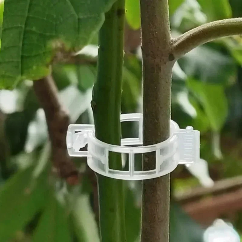 50-300PCS Plant Support Clips  - огляд і ціна Gardening Tools Holder