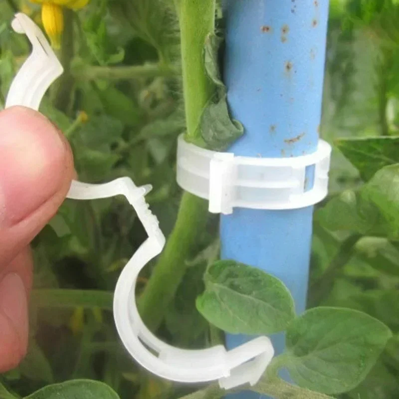50-300PCS Plant Support Clips  - огляд і ціна Gardening Tools Holder
