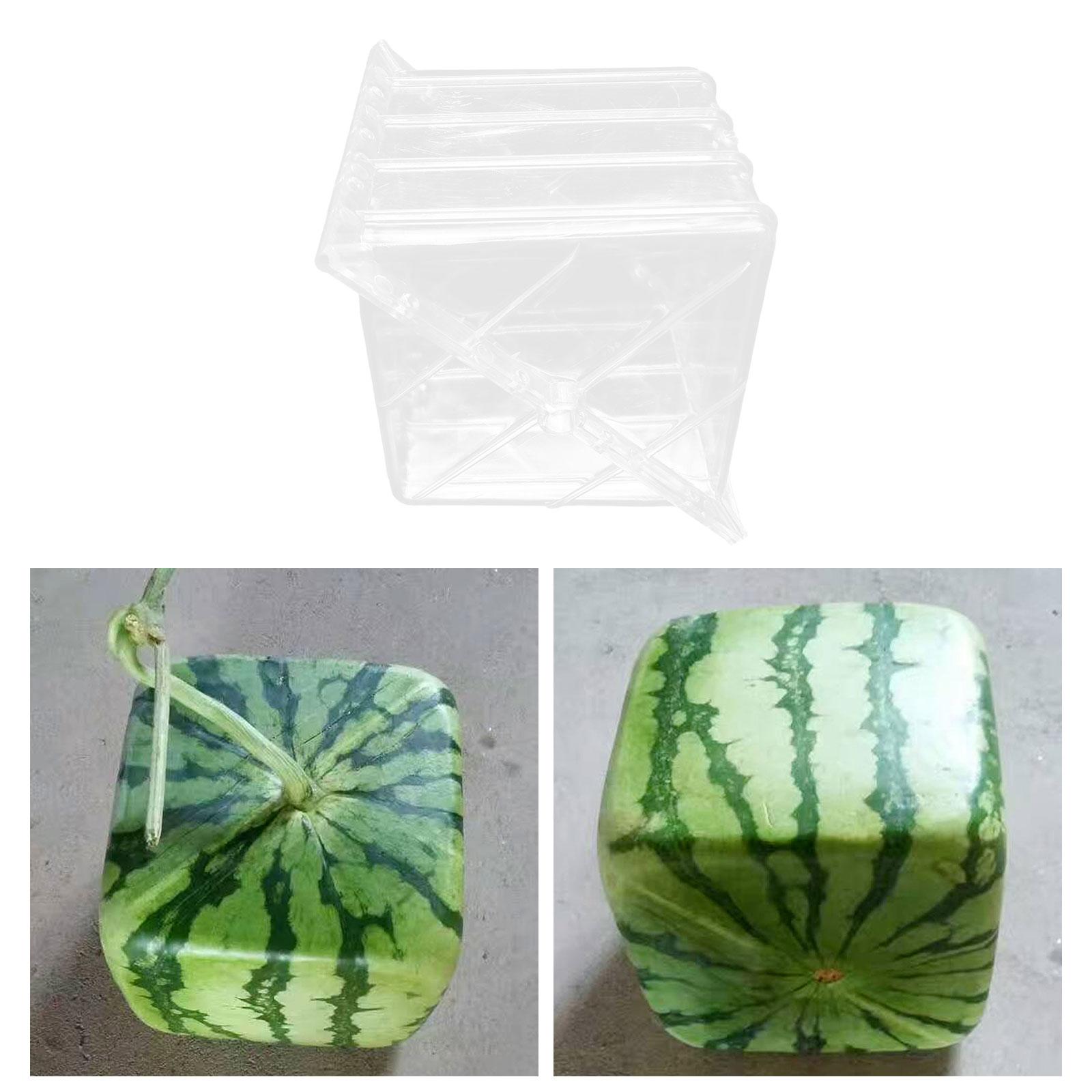 Square Watermelon Growth Mould - огляд і ціна Gardening Tools Unique
