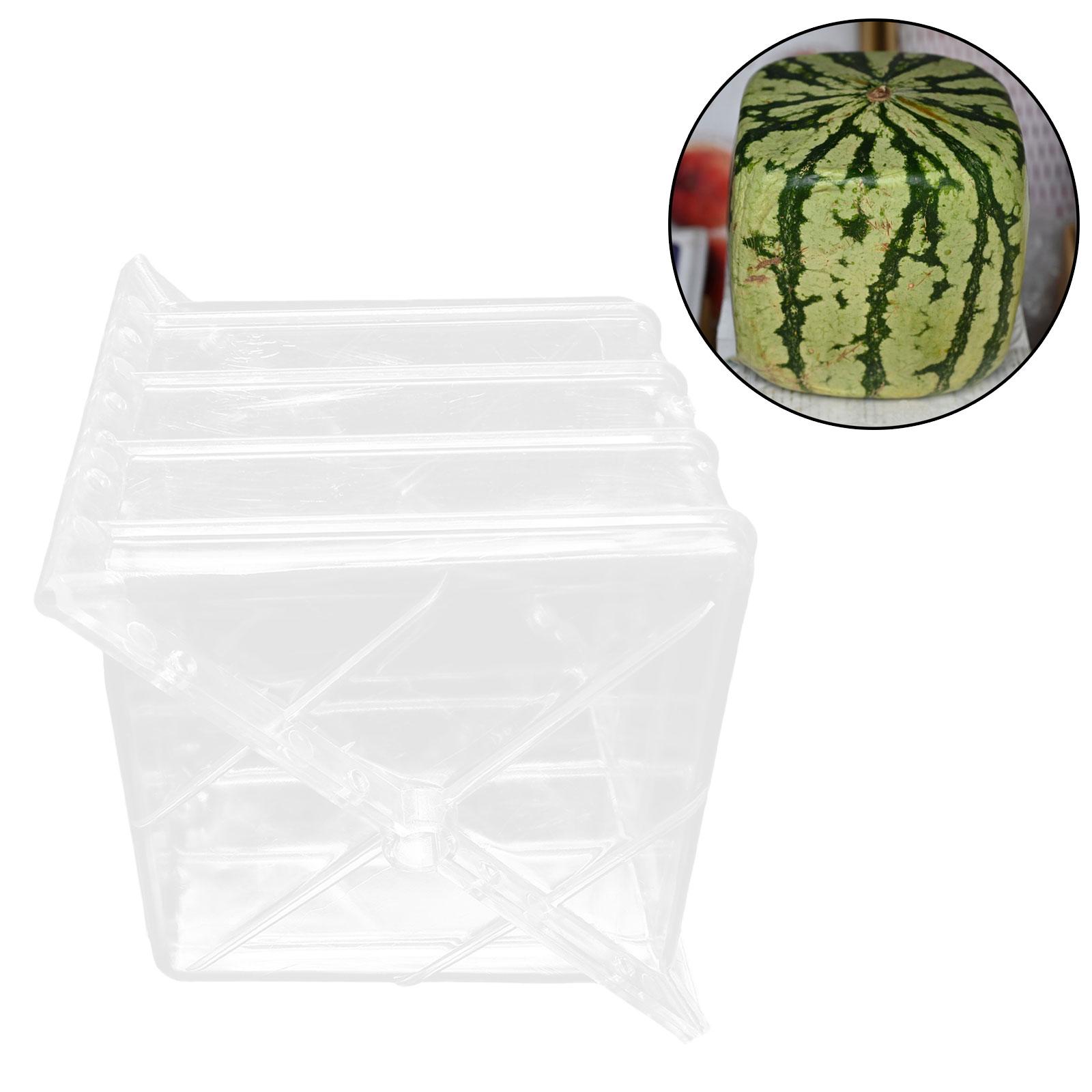Square Watermelon Growth Mould - огляд і ціна Gardening Tools Unique