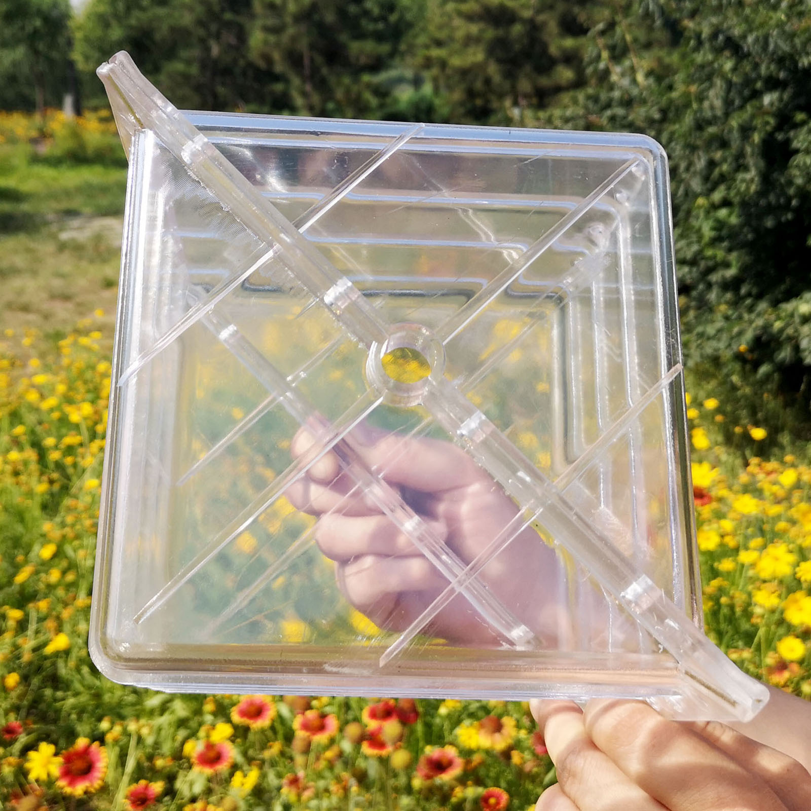 Square Watermelon Growth Mould - огляд і ціна Gardening Tools Unique
