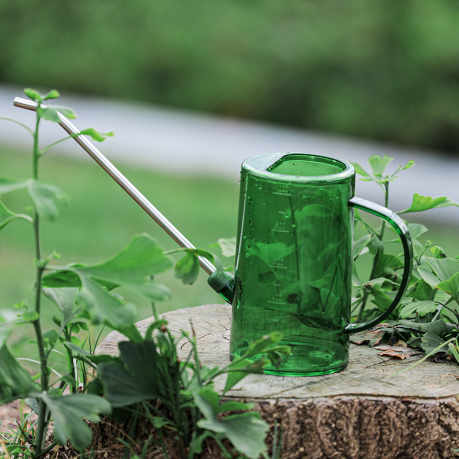 1L/1.5L Indoor Plants Watering - огляд і ціна Gardening Tools For Beginners