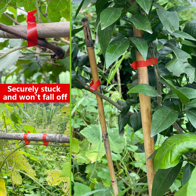 Garden Plants Branch Hand Tyin - огляд і ціна Gardening Tools Kit For Home Garden