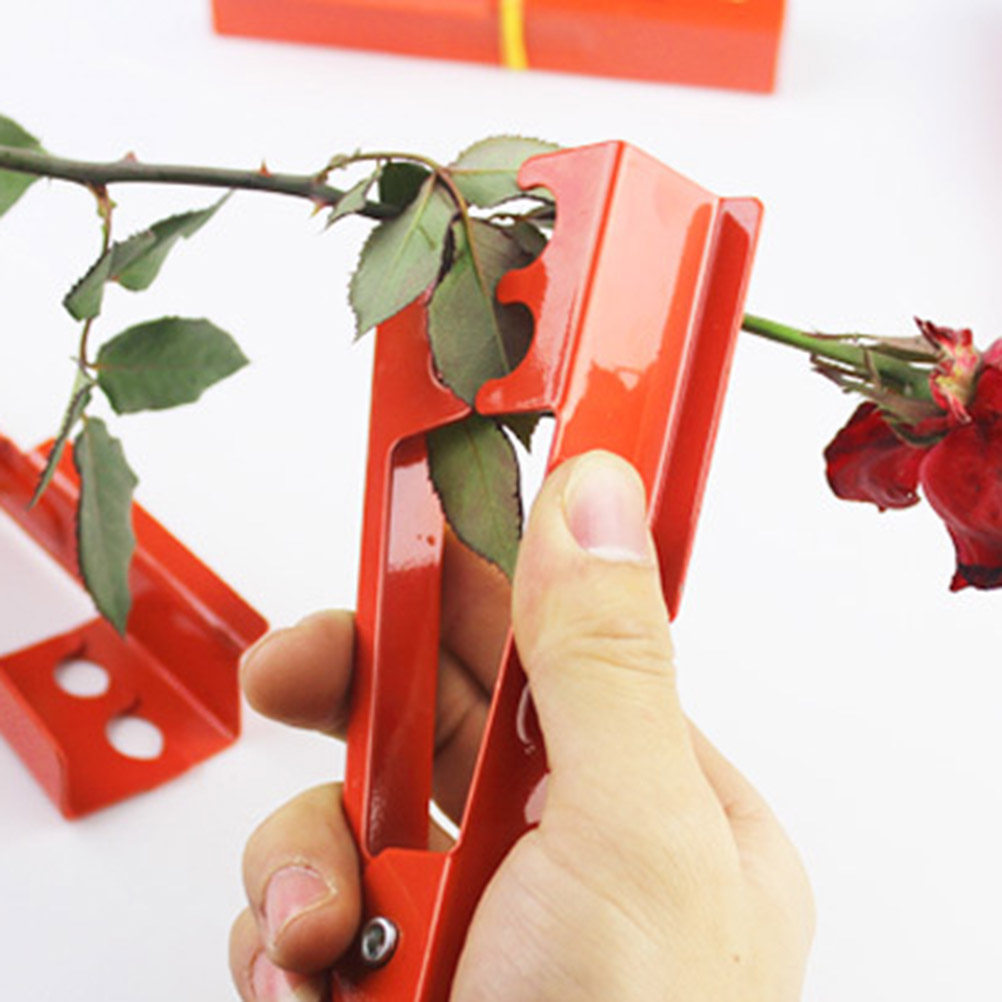 Rose Thorn Pliers Unique Desig - огляд і ціна Gardening Tools Unique