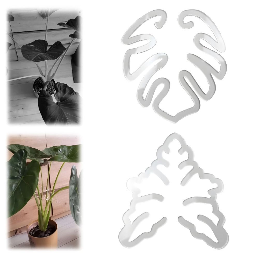 Reusable Turtle Shell Bamboo C - огляд і ціна Gardening Tools Holder