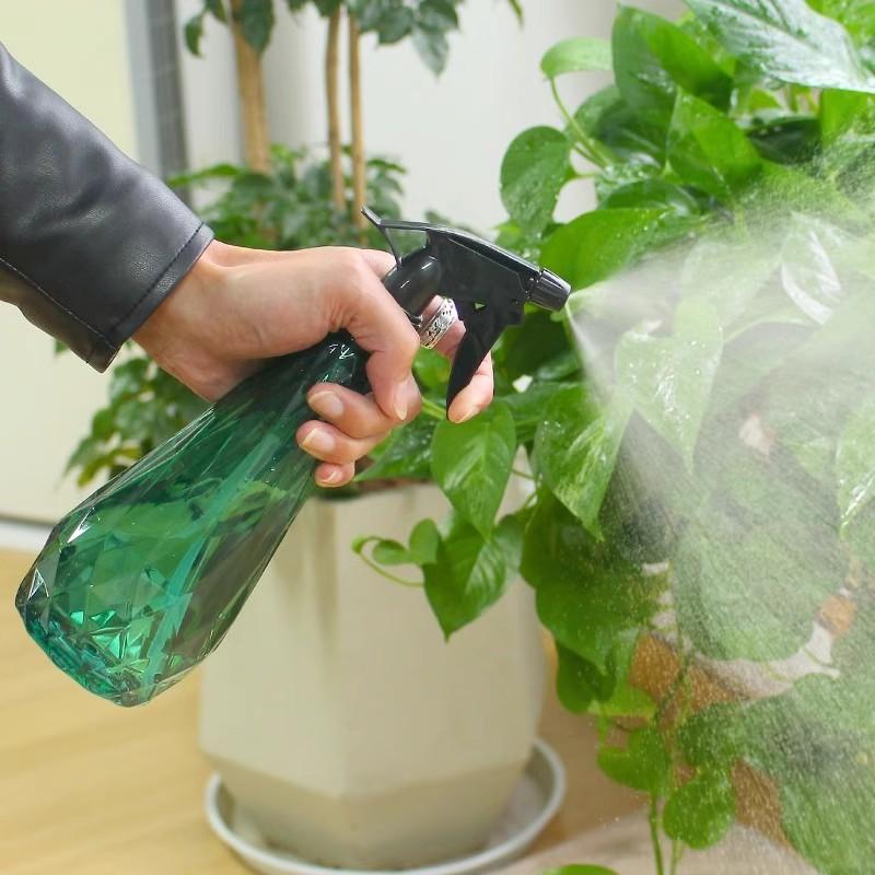 600Ml Handheld Mist Sprayer Bo - огляд і ціна Gardening Tools For Beginners