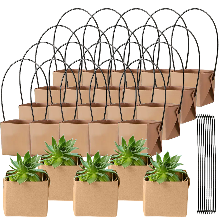 E9 5Pcs 6cm Kraft Paper Succul - огляд і ціна Gardening Tools Women