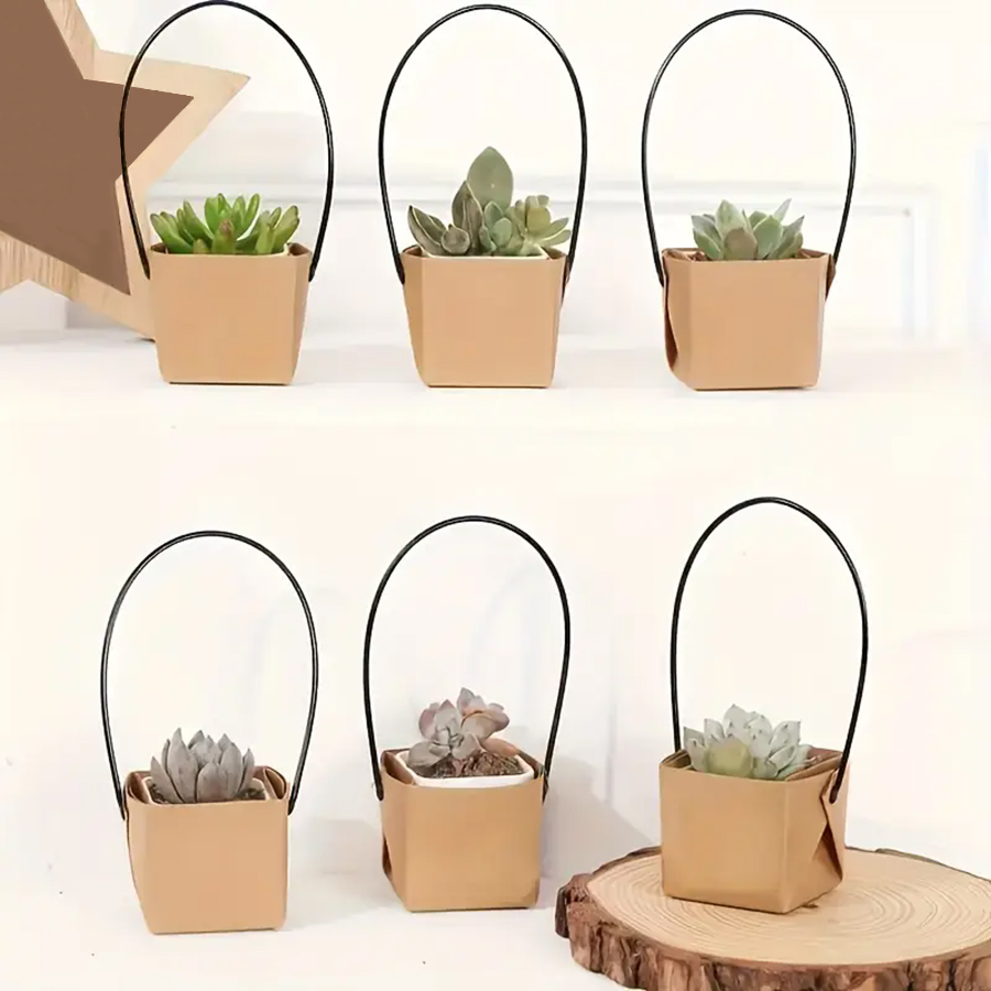 E9 5Pcs 6cm Kraft Paper Succul - огляд і ціна Gardening Tools Women