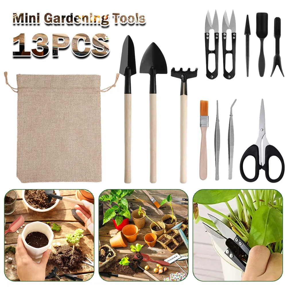 13PCS Succulent Plants Tool Se - огляд і ціна Gardening Tools Kit For Home Garden