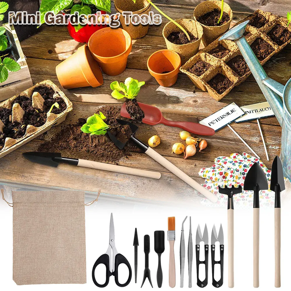 13PCS Succulent Plants Tool Se - огляд і ціна Gardening Tools Kit For Home Garden