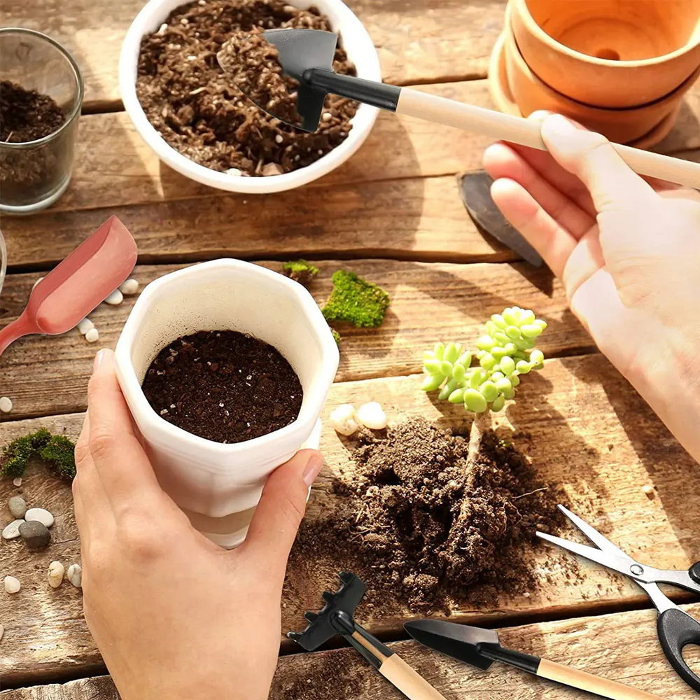 13PCS Succulent Plants Tool Se - огляд і ціна Gardening Tools Kit For Home Garden