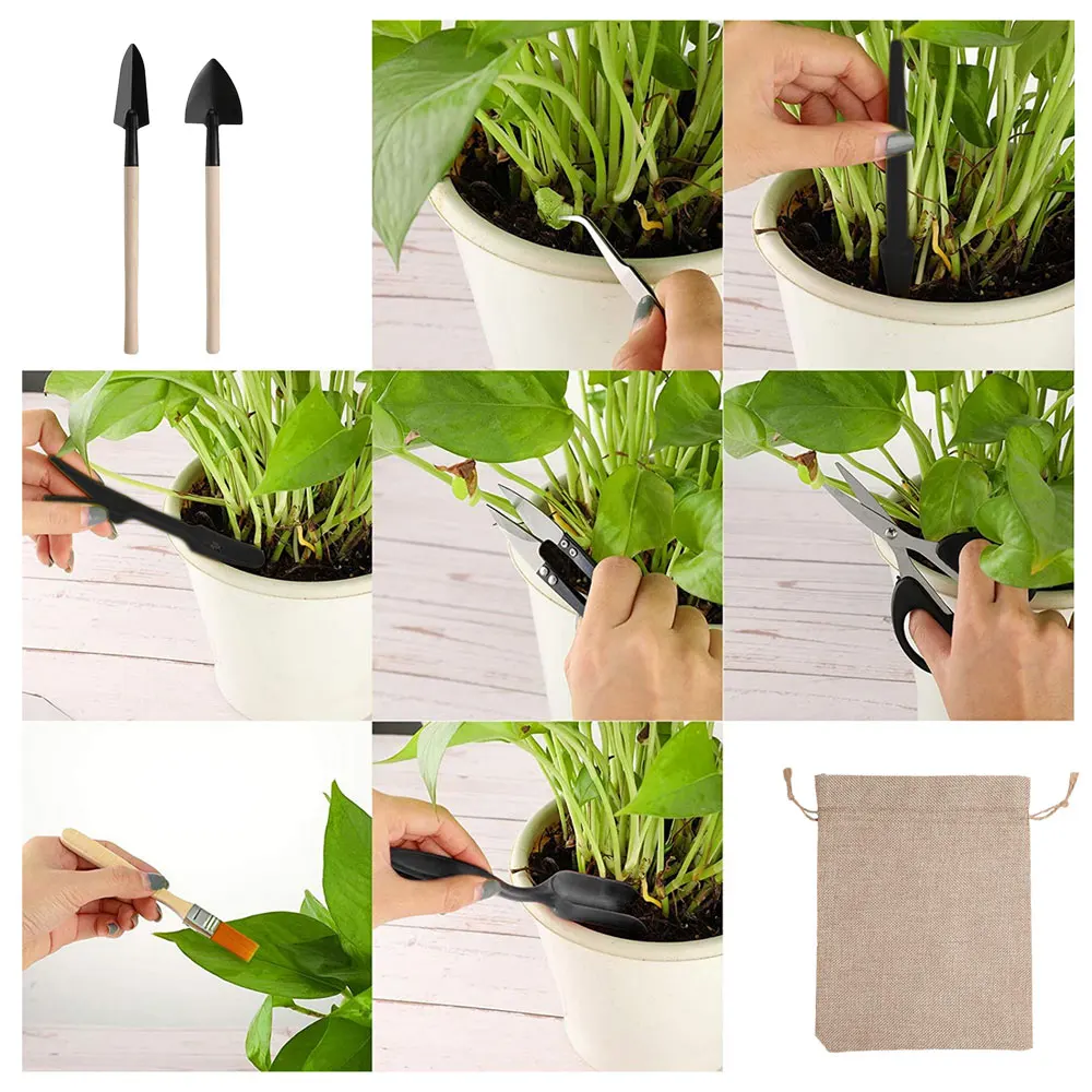 13PCS Succulent Plants Tool Se - огляд і ціна Gardening Tools Kit For Home Garden
