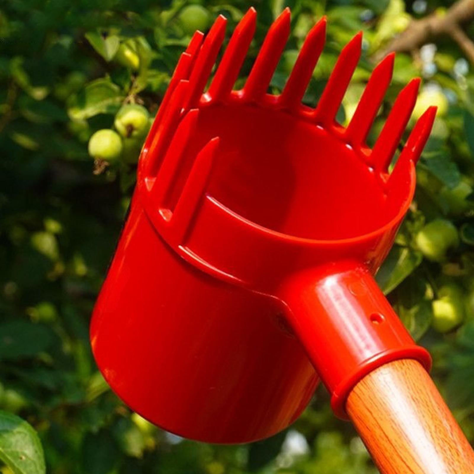 Fruit Harvester Tool Thickened - огляд і ціна Gardening Tools Long