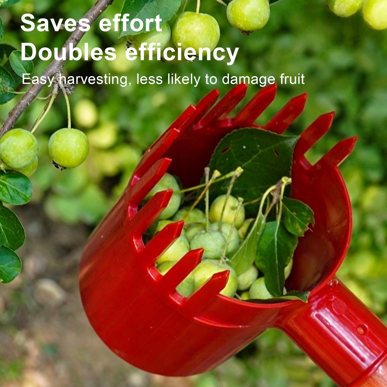 Fruit Harvester Tool Thickened - огляд і ціна Gardening Tools Long