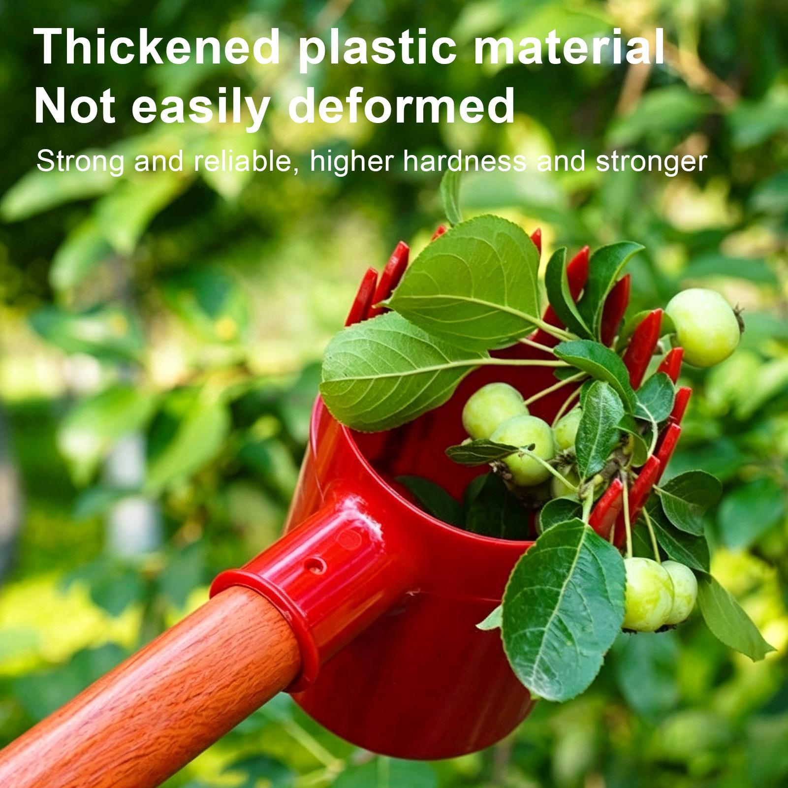 Fruit Harvester Tool Thickened - огляд і ціна Gardening Tools Long