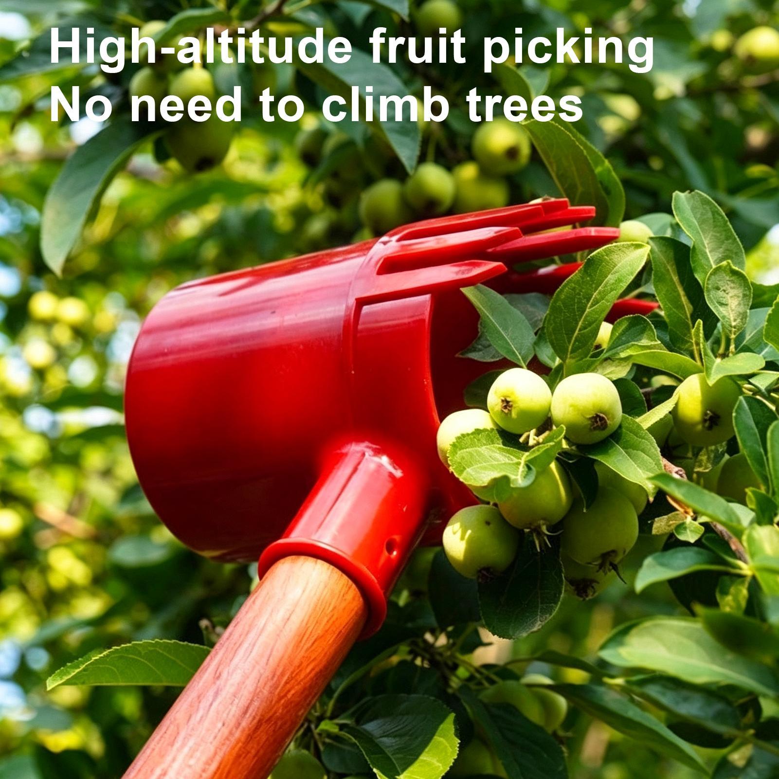 Fruit Harvester Tool Thickened - огляд і ціна Gardening Tools Long