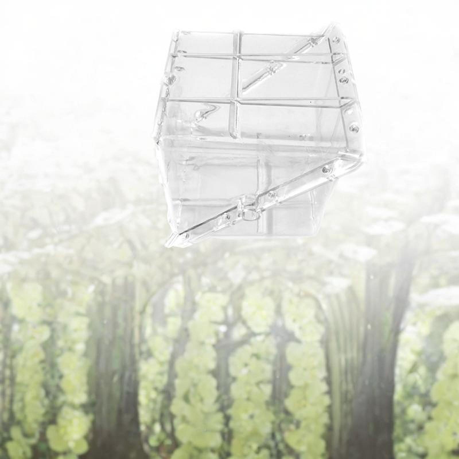 Square Watermelon Growth Mold  - огляд і ціна Gardening Tools Unique