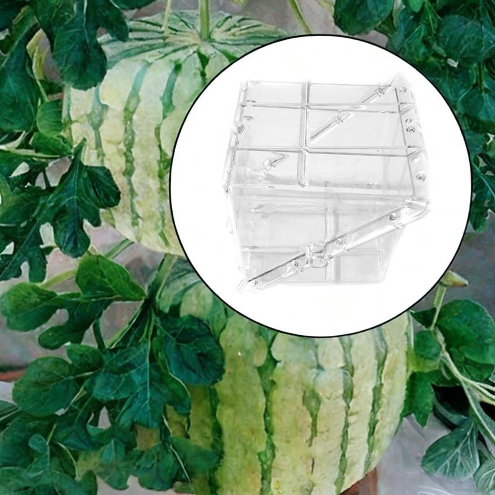 Square Watermelon Growth Mold  - огляд і ціна Gardening Tools Unique