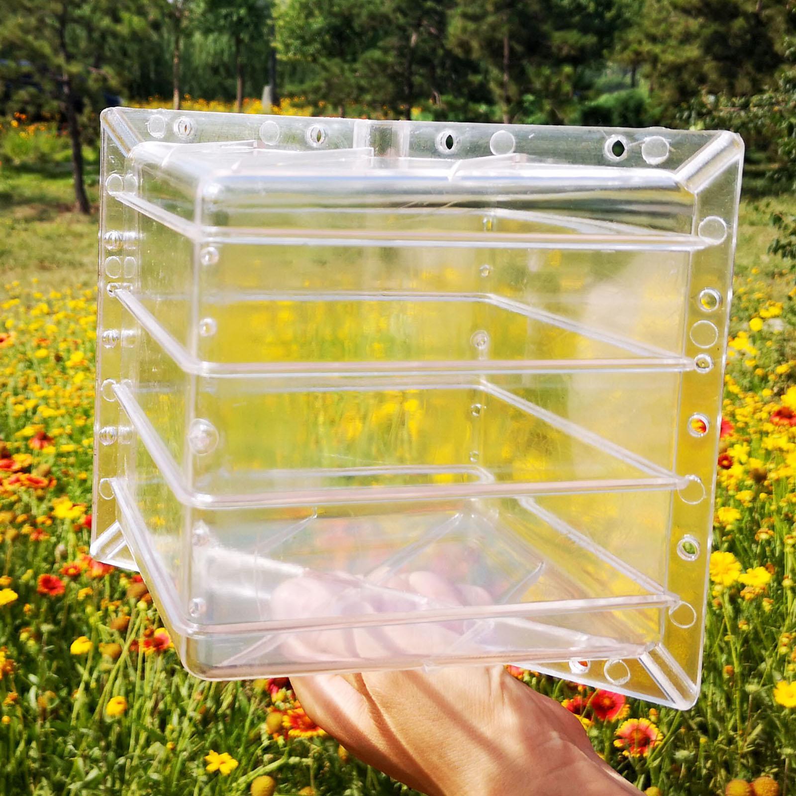 Square Watermelon Growth Mold  - огляд і ціна Gardening Tools Unique