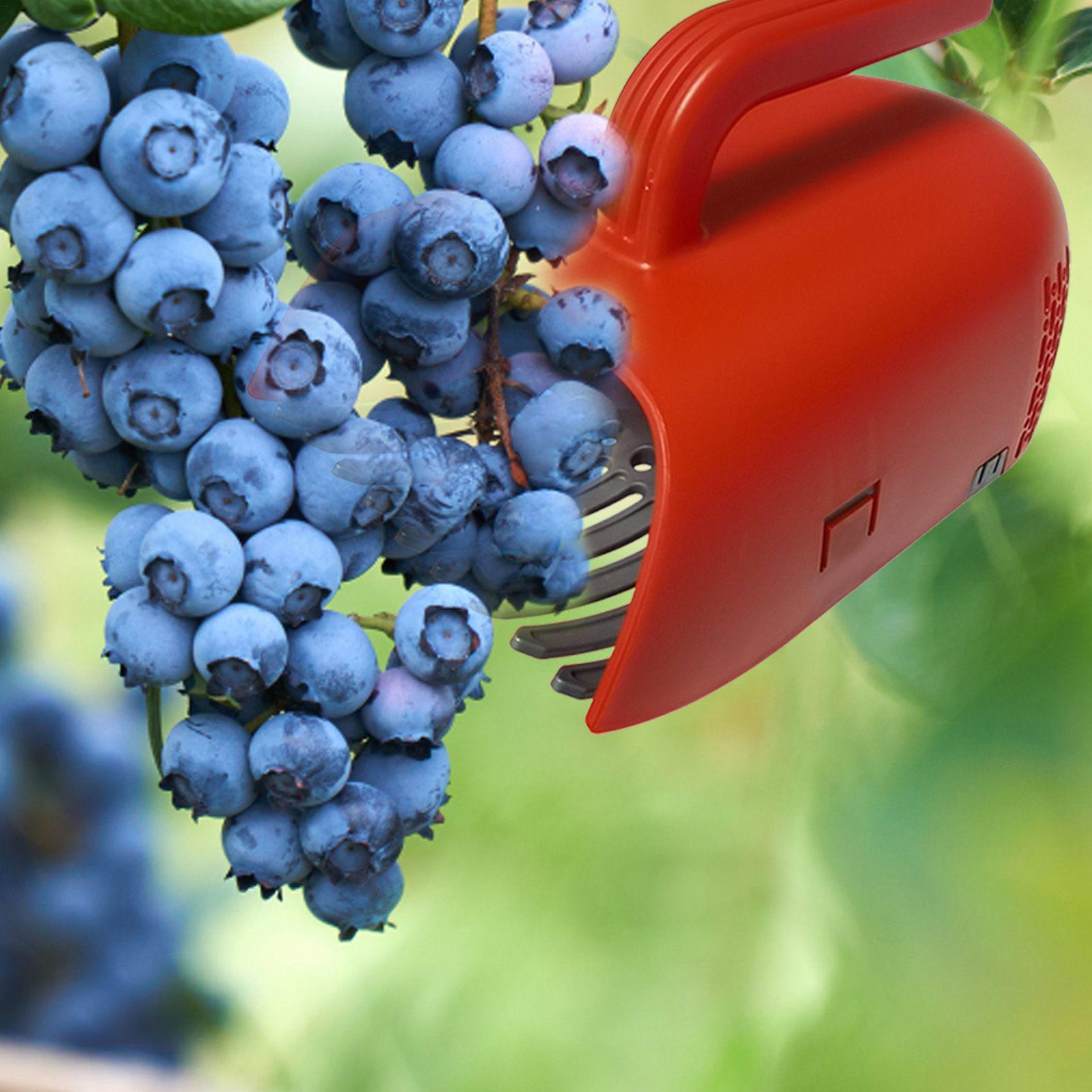 Picking Berry Harvester Scoop  - огляд і ціна Gardening Tools Rake