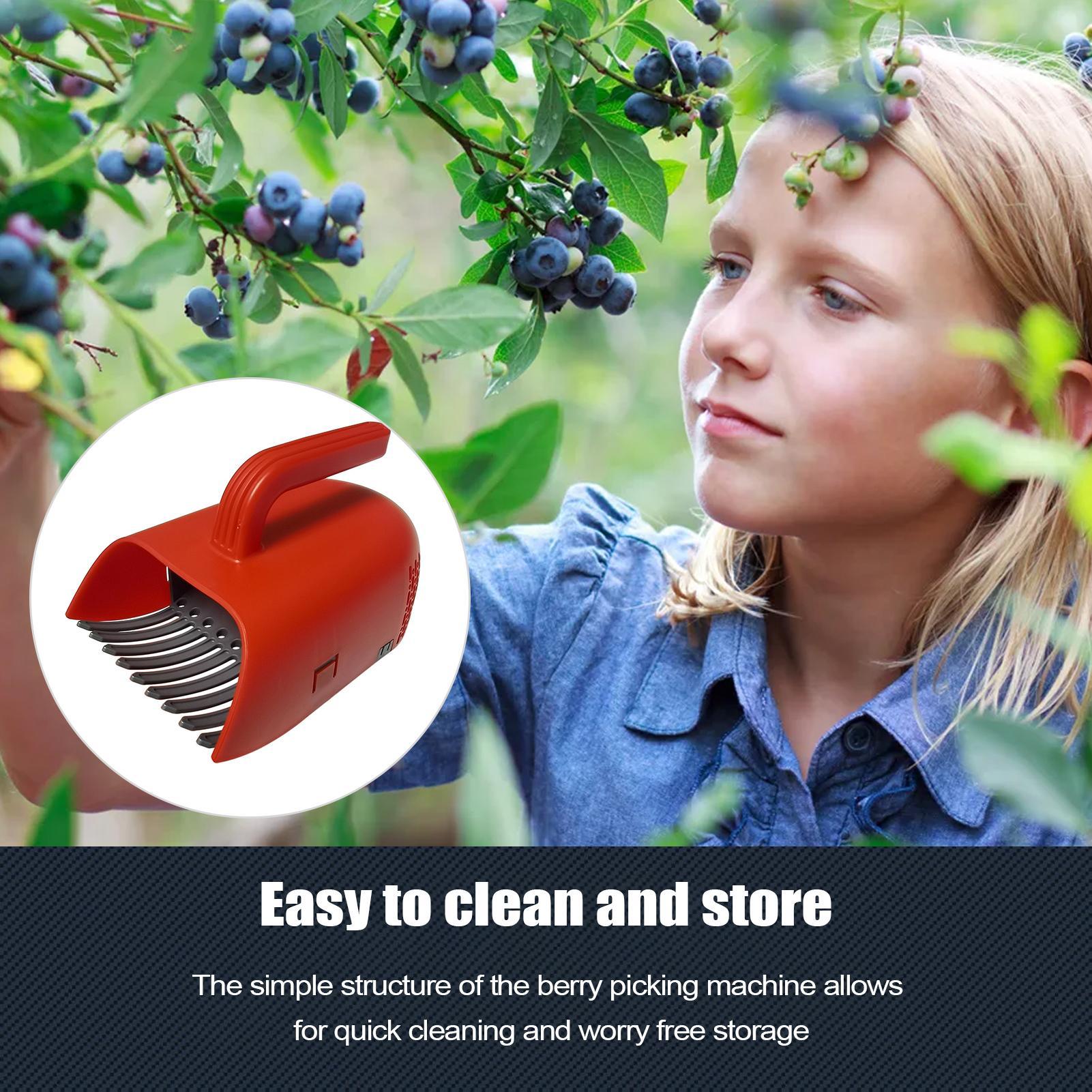 Picking Berry Harvester Scoop  - огляд і ціна Gardening Tools Rake