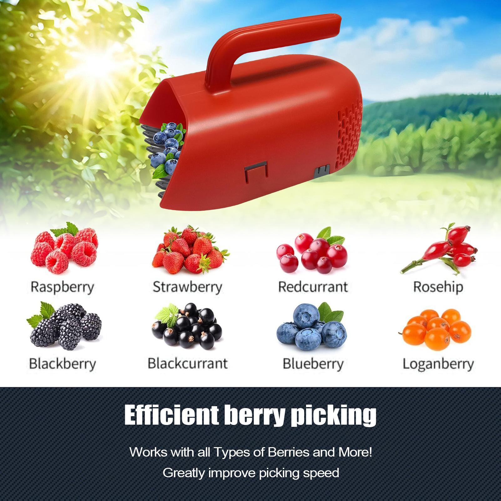 Picking Berry Harvester Scoop  - огляд і ціна Gardening Tools Rake