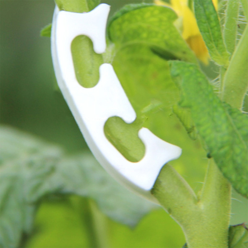 50/100pcs Botany-stem Vine Str - огляд і ціна Gardening Tools Holder