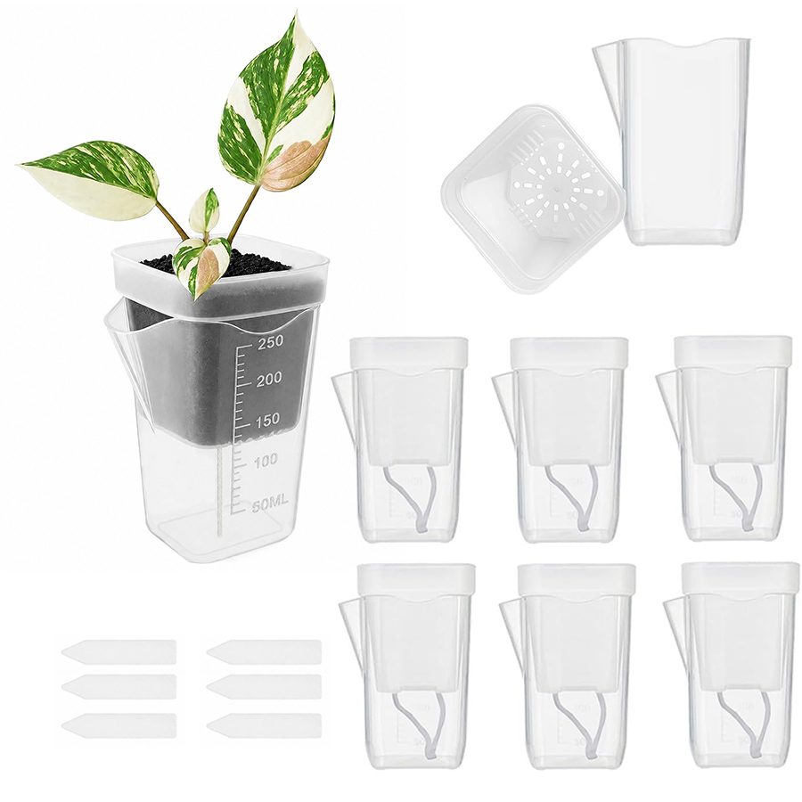 12/24PCS Self Watering Succule - огляд і ціна Gardening Tools Kit For Home Garden