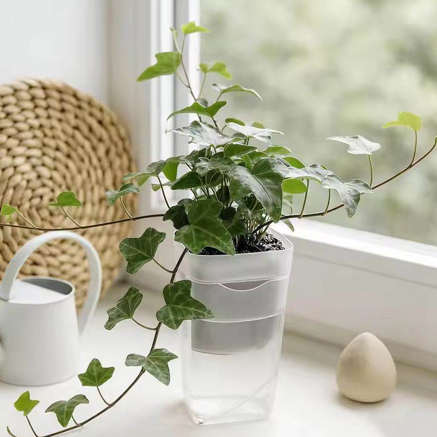 12/24PCS Self Watering Succule - огляд і ціна Gardening Tools Kit For Home Garden