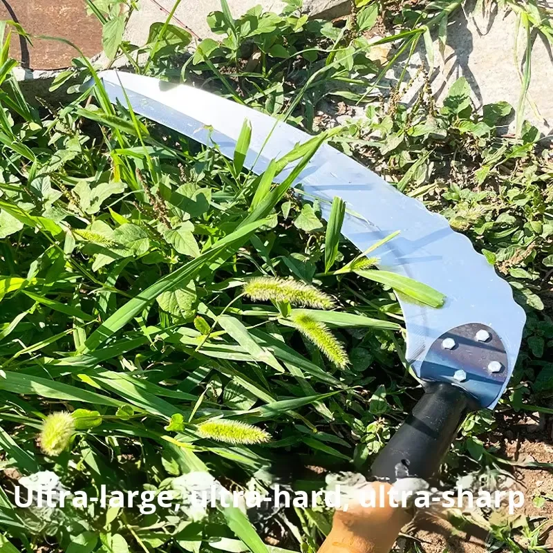 for New Long Handle Large Size - огляд і ціна Gardening Tools For Beginners