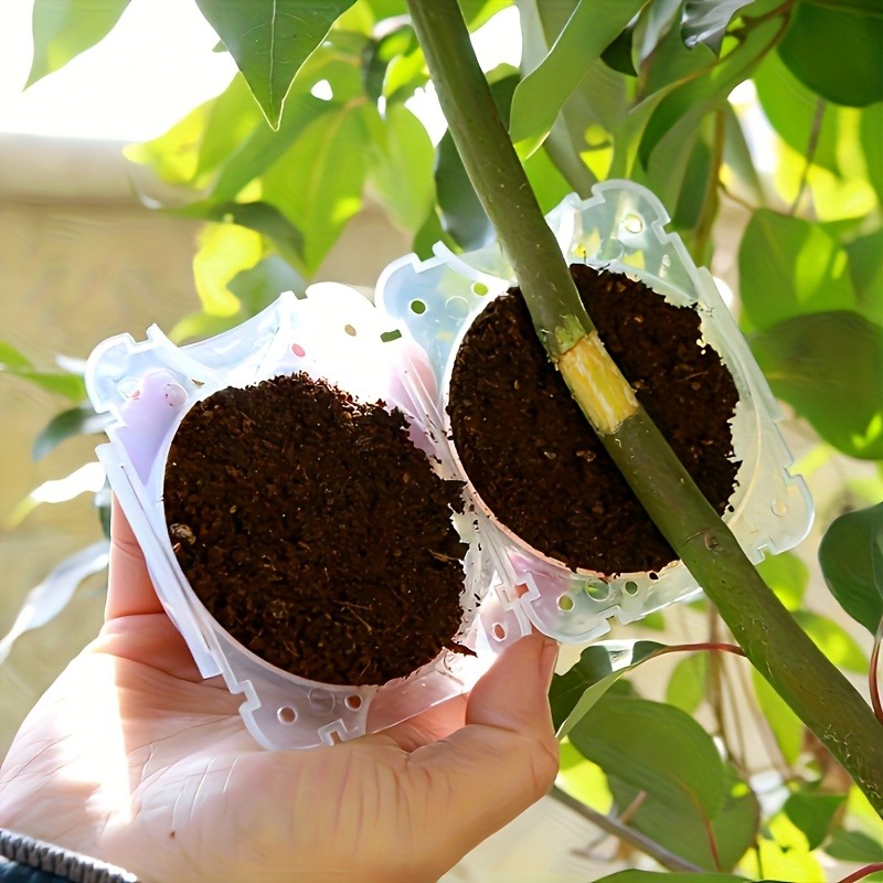 10Pcs High Pressure Plant Root - огляд і ціна Gardening Tools Organizer