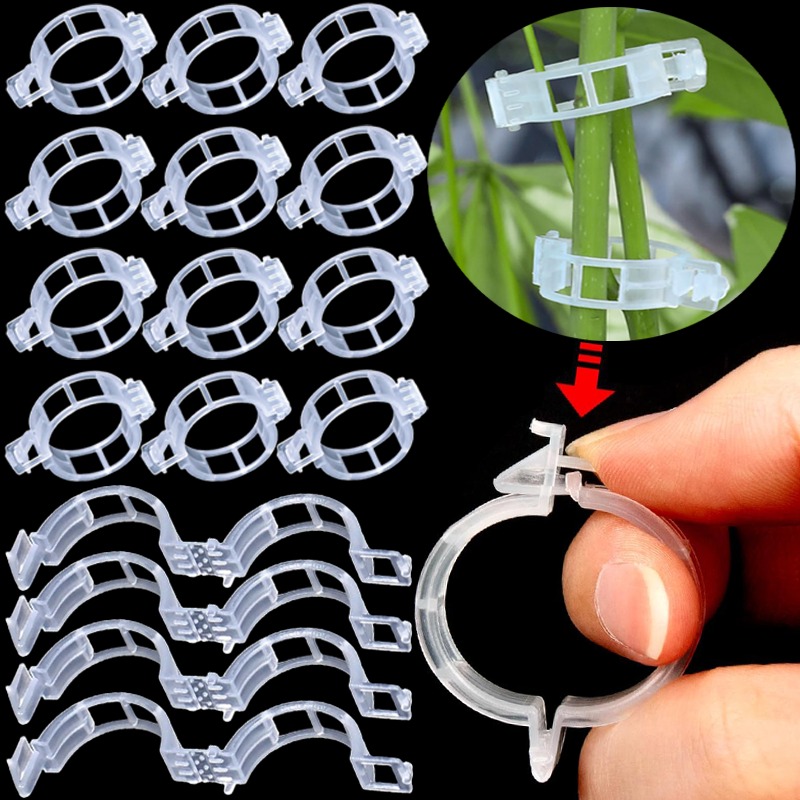 300/50PCS Plant Support Clips  - огляд і ціна Gardening Tools Holder
